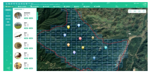 生物多樣性管理平臺 助力保護生物多樣性 為生物資源保護管理提供數(shù)據(jù)支撐