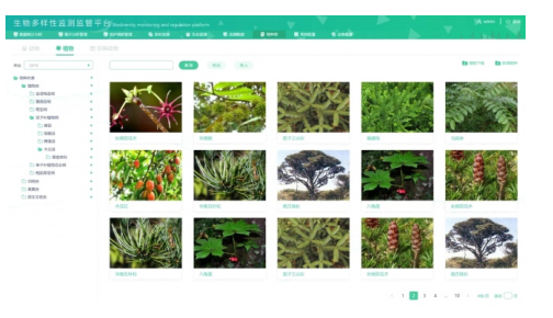生物多樣性管理平臺 助力保護生物多樣性 為生物資源保護管理提供數(shù)據(jù)支撐