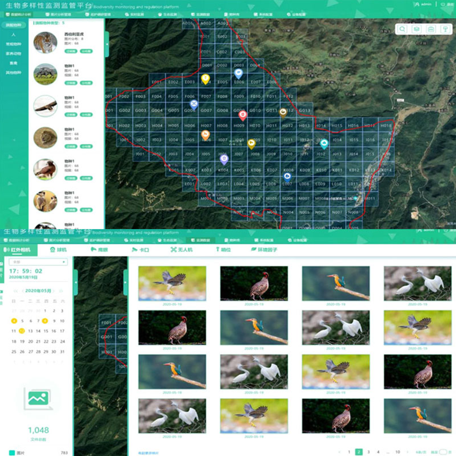 自然保護區(qū)生物多樣性信息管控平臺 AI物種識別 數(shù)據(jù)統(tǒng)計分析