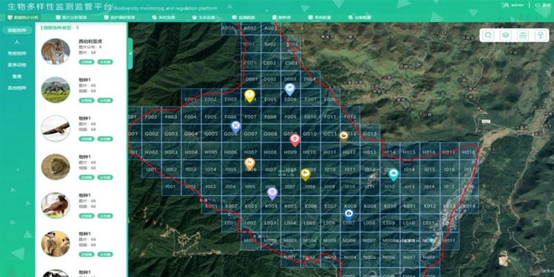 自然保護區(qū)生物多樣性在線管理云平臺 GIS地圖直觀展示物種網(wǎng)格分布情況與遷徙動態(tài)