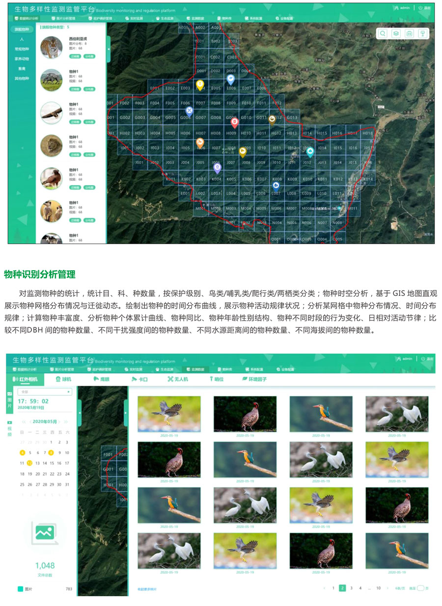 自然保護區(qū)生物多樣性監(jiān)管云平臺 生物物種AI識別 數(shù)據(jù)統(tǒng)計分析